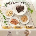 【メール便送料無料】犬 おやつ フード 無添加 国産 猫 20種類から選べる 4個セット デリスタイル | お試し オヤツ アソート 犬用おやつ 国産無添加 小...