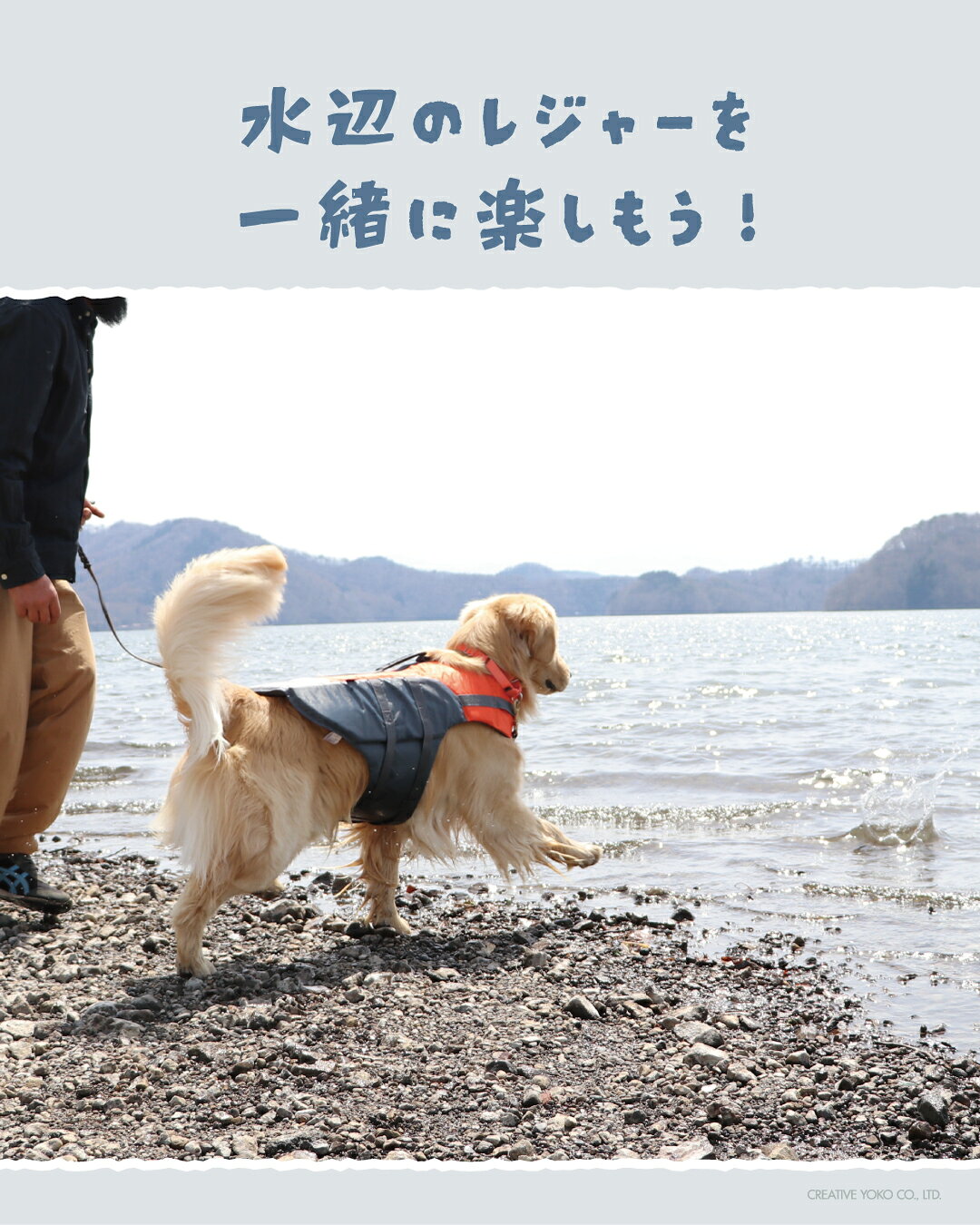 犬 ライフベスト ペット ドッグウェア 夏 小型犬 中型犬 大型犬 | 水遊び 海 プー...