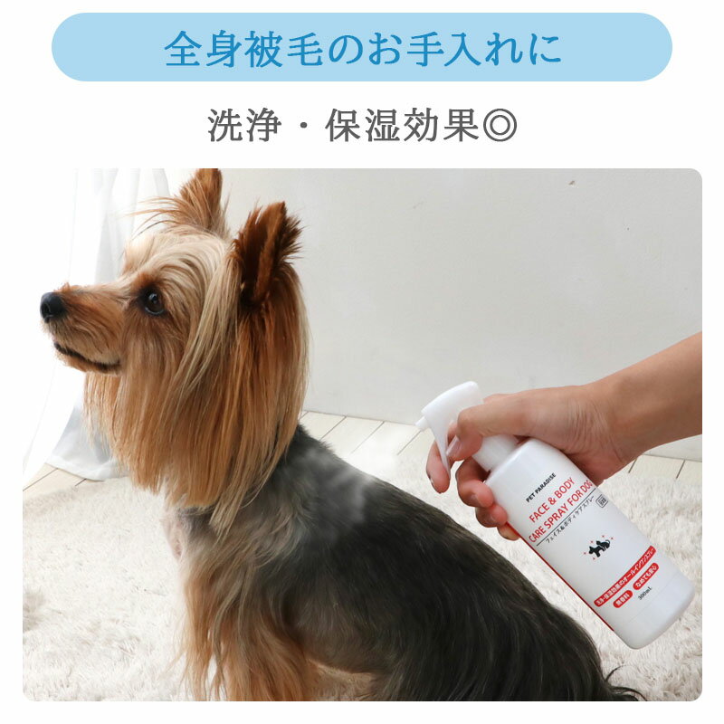 �ڥåȥѥ������ �� ���ץ졼 �ե����� �ܥǥ� ���� �� �� ���� �����󥱥� ̵���� | �������� ���� �ݼ� ǭ ������ ����