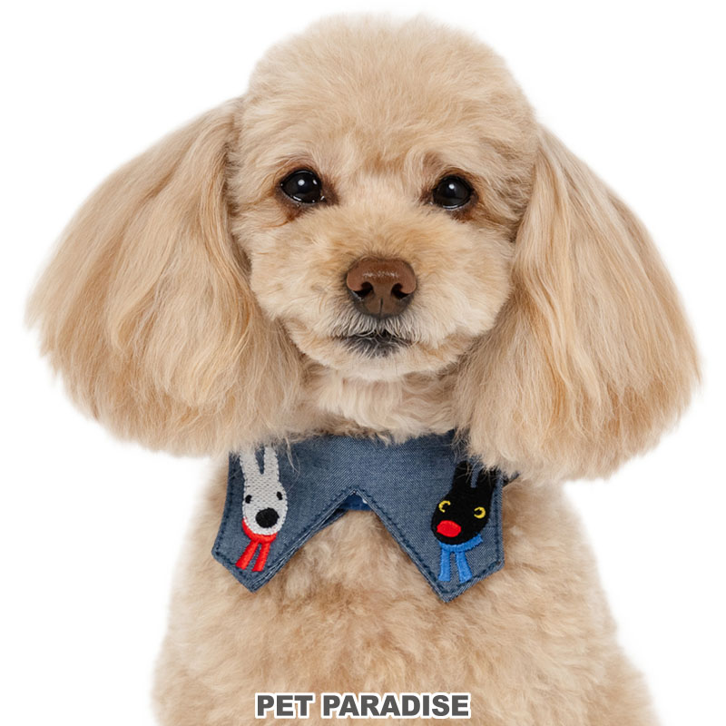 Rakuten - 【10％OFF】☆セール リサとガスパール 犬 首輪 ハート 柄 襟付き 2Way 小型犬 | アウトレット sale 返品交換不可 おでかけ お出かけ お散歩 おさんぽ おしゃれ かわいい キャラクター