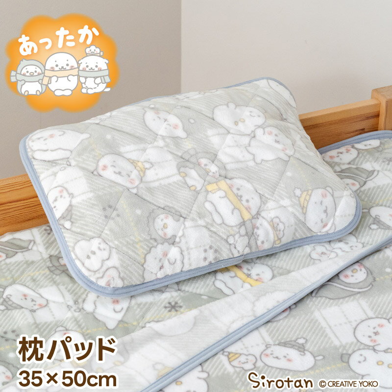 �������� ��ͧã�� ���ѥå� 35��50cm�ޤ��饫�С� �ԥ������С� ���С� �� �ѥå� �Ȥ��� ���ä������С� ���� �����ѿ��� �٥å��ѿ��� �����к� ��...