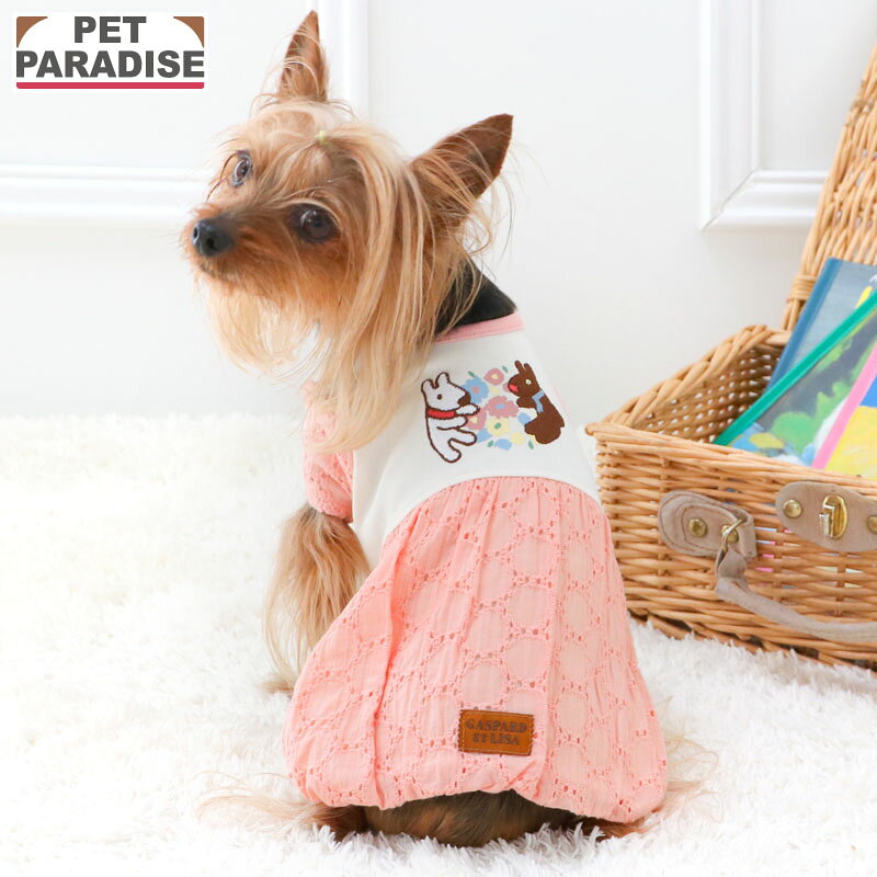 &copy; 2026 Anne Gutman & Georg Hallensleben/Hachette Livre 犬 犬服 犬の服 ドッグ ウェア ドック ウエア ペット用服 かわいい服 可愛い服 人気 おしゃれ ベビー 超小型犬 犬用ウエア 全犬種 ブランド 柴犬 チワワ ロングコートチワワ トイプードル トイプー プードル ポメラニアン ヨークシャーテリア ヨーキー 豆柴 カニンヘンダックスフンド ミニチュアダックスフンド ミニチュアシュナウザー パグ パピヨン シーズー マルチーズ キャバリア ジャックラッセルテリア 柴犬 キャラクター 犬服 ブランド 犬服 春夏 秋冬 犬服 春 犬服 春 夏 秋 冬 トイプードル 服 チワワ 服 ダックス 服 犬 服 かわいい 犬 服 おしゃれ メーカー希望小売価格はメーカーカタログに基づいて掲載しています素材 本体/リブ：綿95％　ポリウレタン5％　レース：綿100％ お洗濯 洗濯機洗いできます。（ネット使用） サイズ展開 4S/3S/DSS/SS/DS/S 仕様 * 袖なし：4S・DSS・DS　袖あり：その他のサイズ