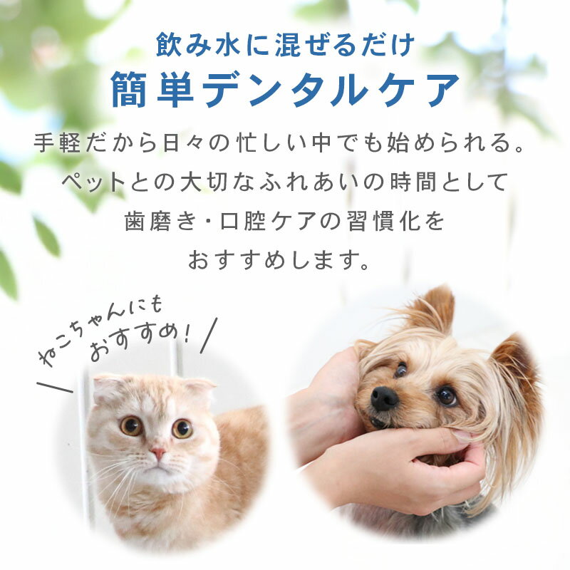 犬 猫用 オーガニック デンタルウォーター（犬・猫用） 120mL | 国産 お口ケア 口腔ケア マウスケア 口臭ケア 水に混ぜる 安心 安全