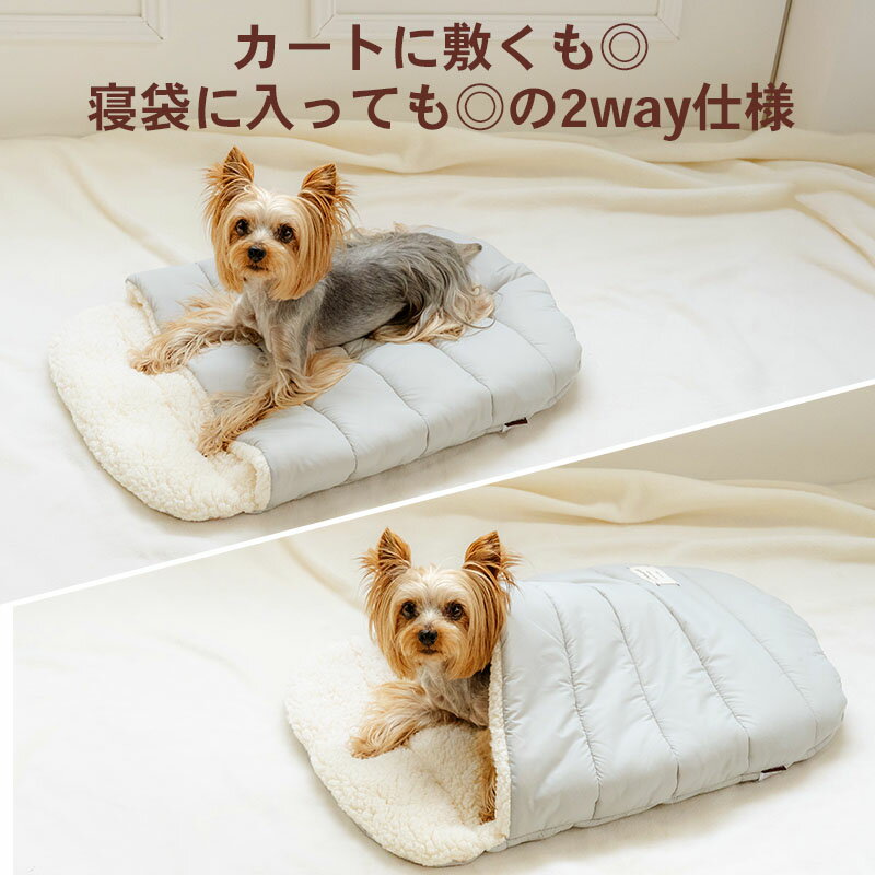 ������ �� �٥å� ���� �������� ���� �� | �����ȥ�å� sale �����ʸ��Բġ� ���졼 ���ֳ��� ������ ���� ���ä��� �ڥå� �٥å� �� ���襤�� ������� �İ���