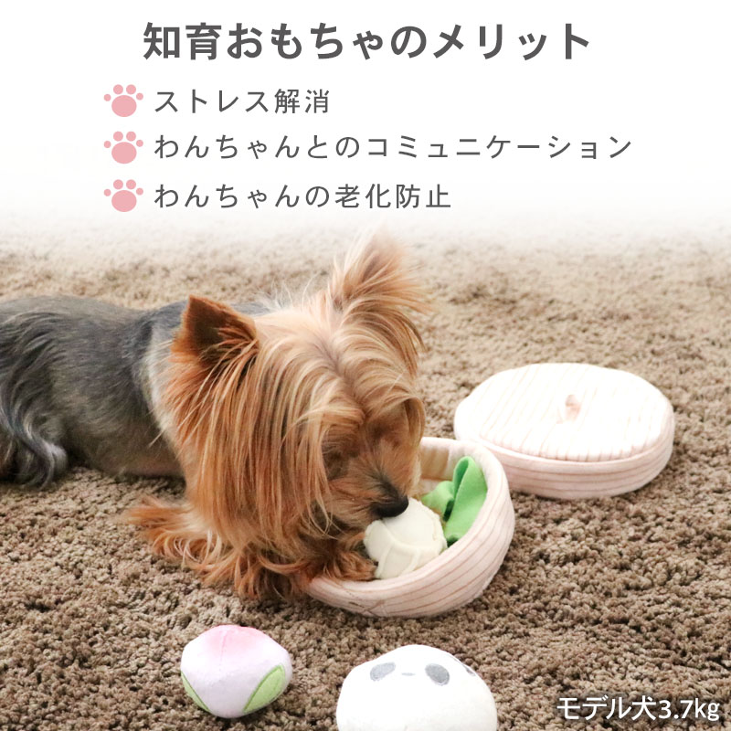 �� ������� �ΰ��� �Ρ������ ���� ������ | �ȥ� TOY ���ȥ쥹��� ���� ���ޤ� �ѥ���ޤ� ���奦�ޥ� ���� ������� �ڥåȥȥ� ��� ���ߥ�˥�������� ����