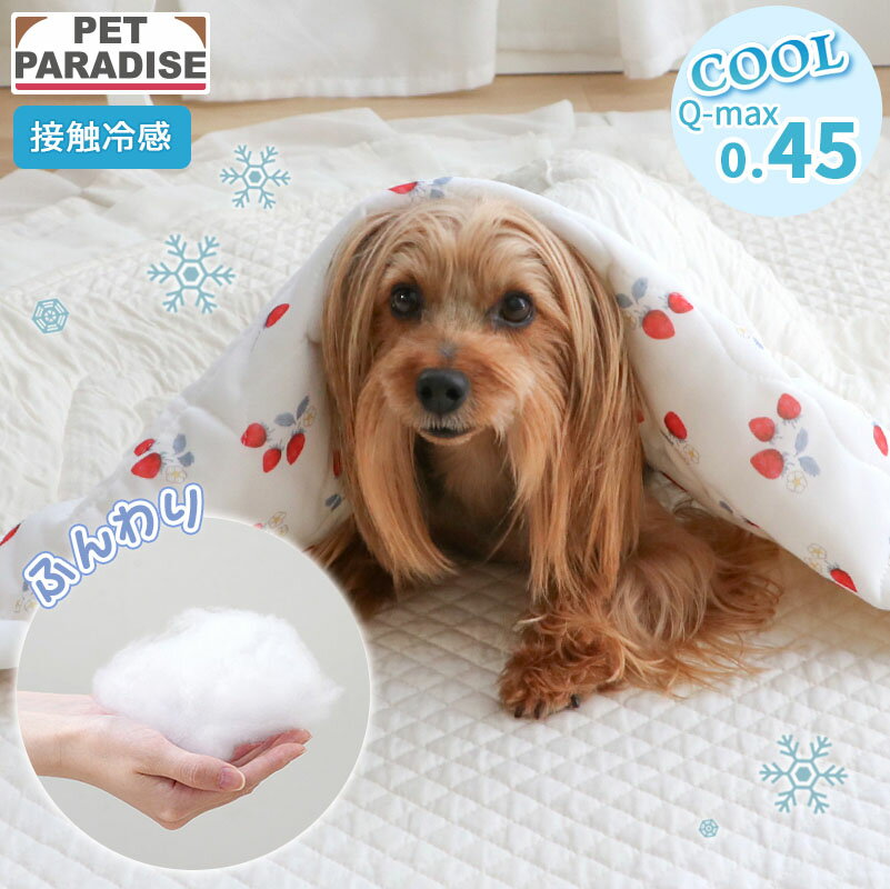 乐天商城 - 【ペットパラダイス公式】 犬 ブランケット 夏用 苺柄 もちっと クールブランケット | レッド 接触冷感 洗える ペット クール ケット マット 猫 毛布 ひざ掛け ひんやり 冷却 冷感 涼感 車