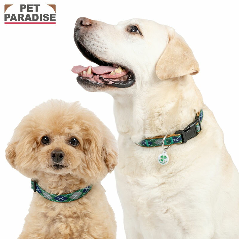 Rakuten - 【ペットパラダイス公式】 犬 首輪 チェック柄 首輪 小型犬 中型犬 大型犬 | グリーン アーガイル 反射 チャーム付き 安全 安心 事故防止 おでかけ お出かけ お散歩 おさんぽ おしゃれ かわいい