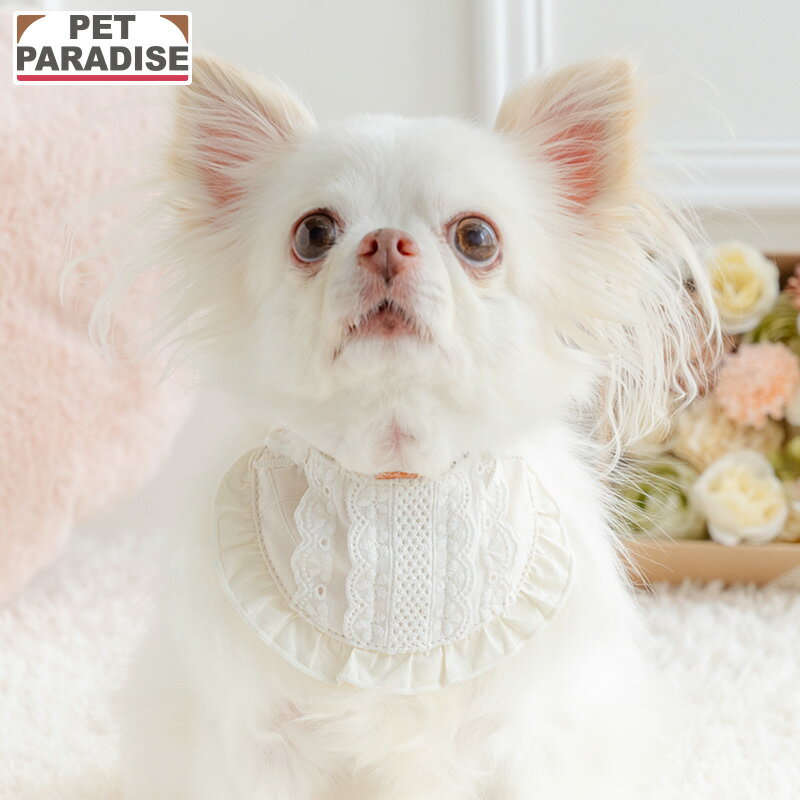 【ペットパラダイス公式】 犬 服 春 キルティング レース やさしい スタイ 小型犬 | ホワイト はじめて パピー おでかけ お出かけ 首飾り おしゃれ かわいい 可愛い 簡単 ゴム