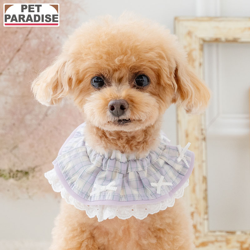 犬 犬服 犬の服 ドッグウェア ドッグ ウェア ドッグウエア ペット ペット服 ペット用服 かわいい服 可愛い服 人気 おしゃれ 中型犬 大型犬 中型犬用品 犬用ウェア 犬ウェア 犬用ウエア 犬用品 ペット用品 犬の洋服 犬洋服 柴犬 ウェルシュコーギー フレンチブルドッグ ウェルシュコーギー コーギー ビーグル 全犬種 犬服 キャラクター 犬服 ブランド 犬服 春夏 犬服 春 犬服 春 夏 トイプードル 服 チワワ 服 ダックス 服 犬 服 かわいい 犬 服 おしゃれ 犬 春服 犬 春服 犬 おしゃれ かわいい素材 チェック生地：綿50％　ポリエステル50％　レース/内生地：綿100％　リボン：ポリエステル100％ お洗濯 洗濯機洗いできます（ネット使用） サイズ展開 3S/SS/S 仕様 * 飾りボタン付き ご注意 ・適応サイズ以外のペットには使用しないでください。また、ペットの成長に合わせて時々首回りのサイズを点検してください。 ・首を締め付けないように装着時には指2〜3本の隙間があるものをご使用ください。 ・首輪や重ね着での装着時にも首の隙間にご注意ください。 ・安全のため、飼い主様の目の届く範囲でご使用ください。 本製品には装飾パーツが付いています。ペットがパーツ部分をかじったりしないよう、また通常の使用によりパーツが取れる場合がありますが、取れたパーツをペットが飲み込まないよう、飼い主の方は充分ご注意ください。