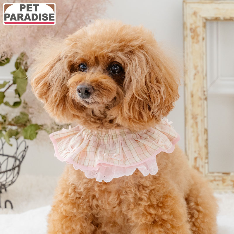 ペットパラダイス公式 犬服 犬 服 ドッグウェア スタイ 小型犬 3S〜S ピンク | ブ...