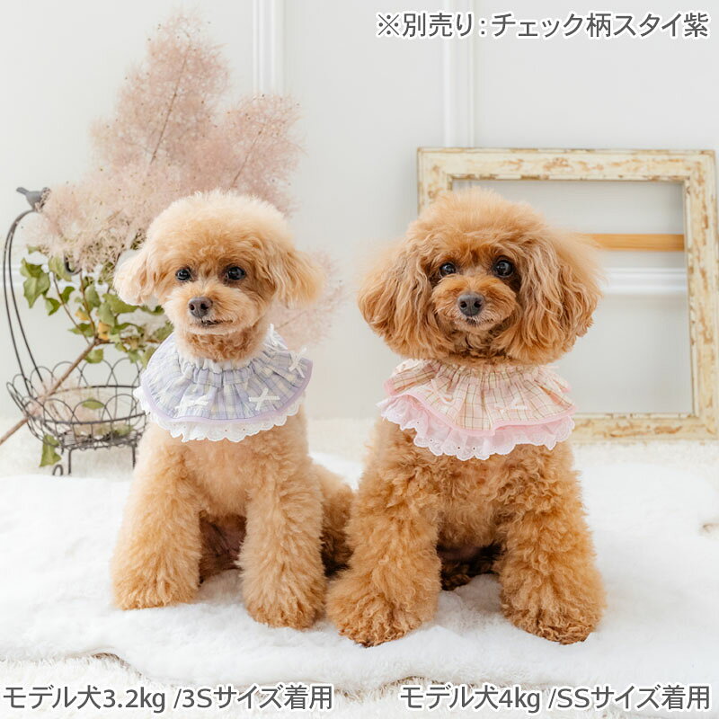 ペットパラダイス公式 犬服 犬 服 ドッグウェア スタイ 小型犬 3S〜S ピンク | ブ...