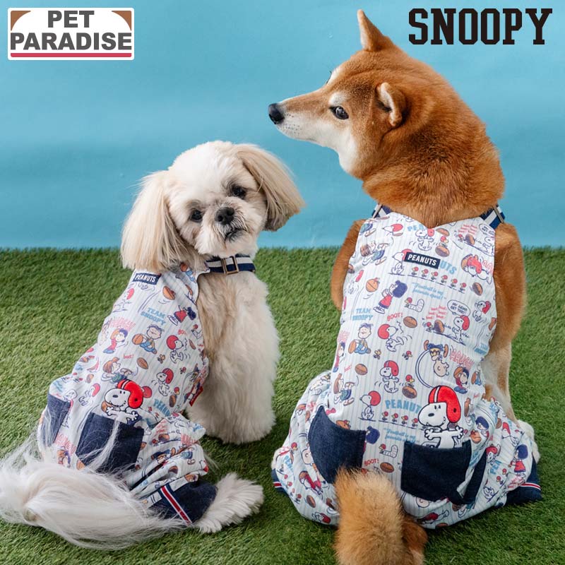 �ڥڥåȥѥ������������ ���̡��ԡ� �� �� �� ����ե� �����С������� ������ �淿�� | �����ڥå� �֥��� �����奢�� ������� ���襤�� ���ä�����