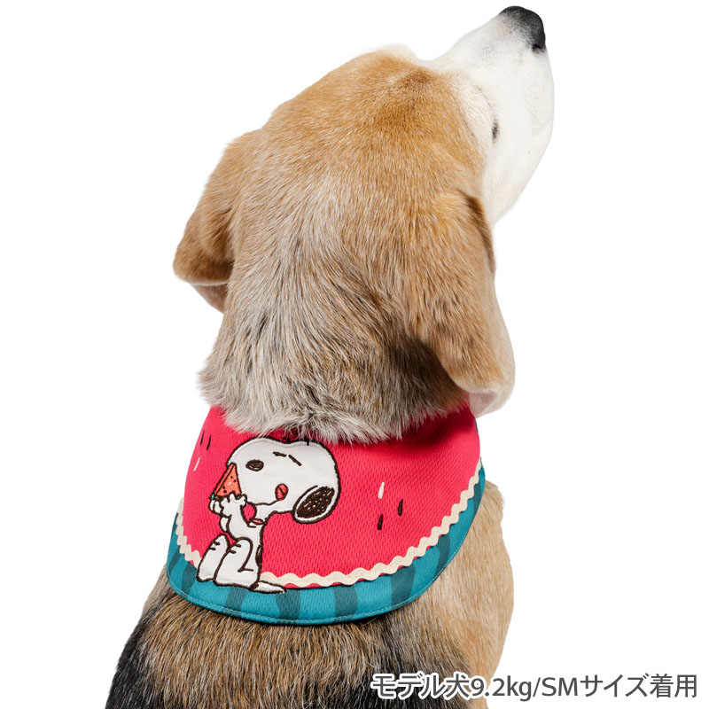ペットパラダイス公式 犬 クールネック 保冷剤 バンダナ スヌーピー スイカ柄 小型...