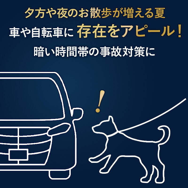 ペットパラダイス公式 スヌーピー 犬 ハーネスリード 超反射 アストロ ハーネス ＆...