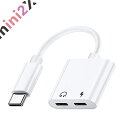 TYPE C 2口 変換アダプター 【 タイプC 充電+ タイプC オーディオ出力】 イヤホン 通話 高品質音声 丈夫 音楽 最大 60W 充電 対応 スマート...