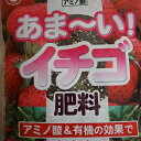 2025年はこの肥料で美味しい甘いいちごをつくろう いちご専用肥料 おいしくできる いちごの肥料