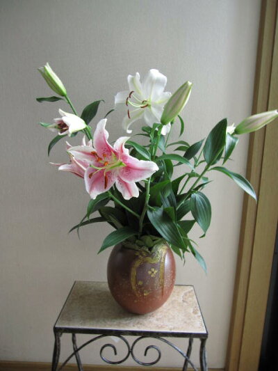 楽天市場 信楽花瓶入り 花束 ユリ 園芸百貨店何でも揃うこぼんさい 楽天市場 信楽花瓶入り 花束 ユリ 園芸百貨店何でも揃うこぼんさい
