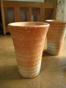 送料無料【盆栽】 桜 信楽コップ お花見二人サクラ桜 お花見セット