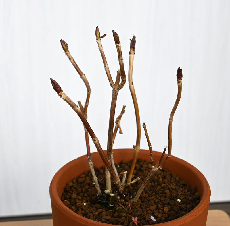 ���۲� ε�� Ȭ�ź餭�������� �翧�������� ������