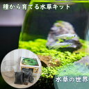 2024年NEW 種から育てる水草キット 栽培 アクアリウム ギフト 簡単 水槽