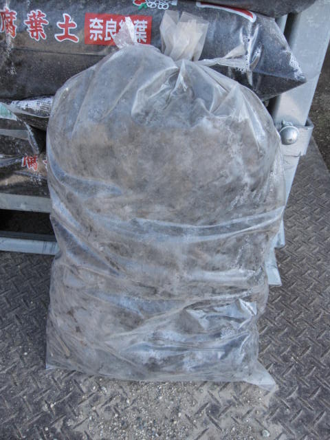 コケ玉が作れます【けと土】　【苔球】づくりに　コケ玉材料のケト土　約6キロ