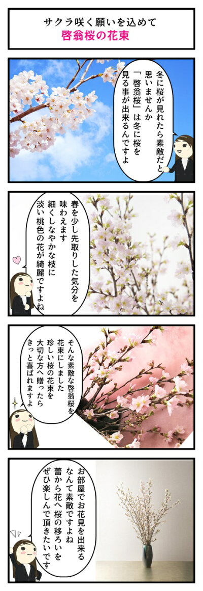 楽天市場 21年年始の贈り物に春を感じる冬にお花見桜の切花 春 桜 花 枝 販売 きれい かわいいさくらお祝いの贈り物に奈良県吉野 啓翁桜 花束啓翁桜の花束 啓翁桜 けいおうさくら お花の贈り物奈良県吉野産啓翁桜です 園芸百貨店何でも揃うこぼんさい 楽天市場 21年年始の贈り物に春を感じる冬にお花見桜の切花 春 桜 花 枝 販売 きれい かわいいさくらお祝いの贈り物に奈良県吉野 啓翁桜 花束啓翁桜の花束 啓翁桜 けいおうさくら お花の贈り物奈良県吉野産啓翁桜です 園芸百貨店何でも揃うこぼんさい