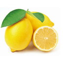 檸檬苗　とげなしレモン　ビアフランカビアフランカ檸檬/れもん　苗