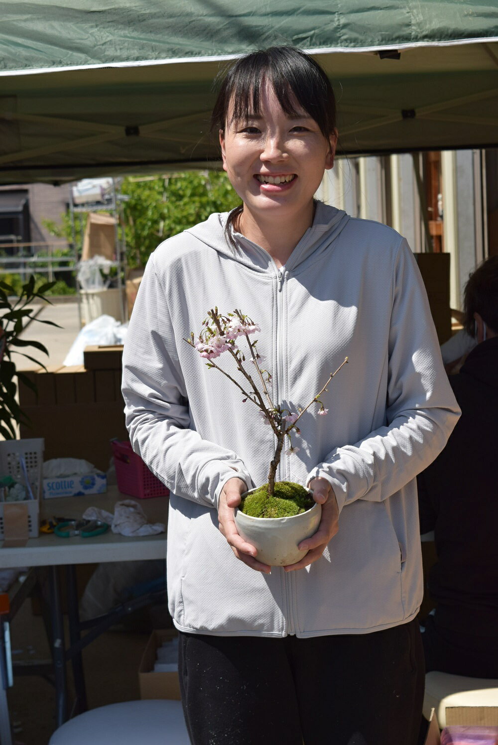 4月に開花のさくら盆栽　4月に開花桜盆栽　お誕生日ギフトに桜盆栽二季咲　桜十月桜盆栽二期咲き桜十月サクラ信楽鉢入り十月桜盆栽　二期桜盆栽母の日限定　さくら盆栽です