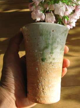 ミニ盆栽桜自宅でお花見桜サクラ盆栽桜 お花見セット 送料無料