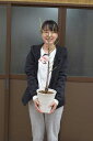 おめでたい桃鉢植え2025年4月中頃開花苗です立源平 ハナモモ 源平桃【ゲンペイモモ】桃鉢植え