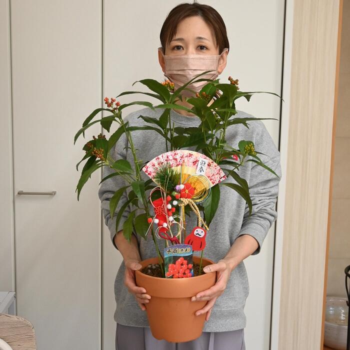 ✼ Kaorin様 有難かっ 専用ページ ✼ お正月用のお花 葉牡丹