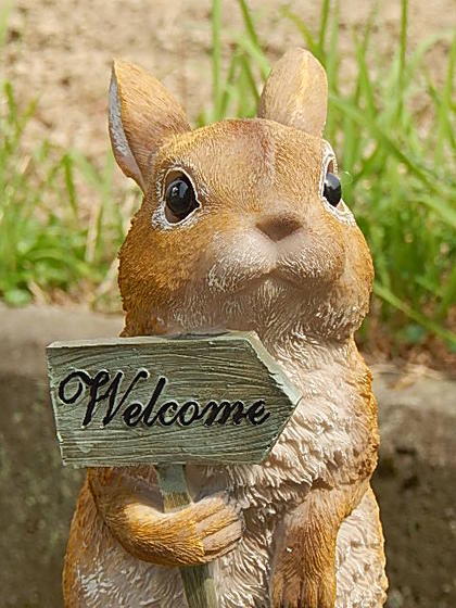 楽天市場】welcome うさぎの通販 楽天市場】welcome うさぎの通販