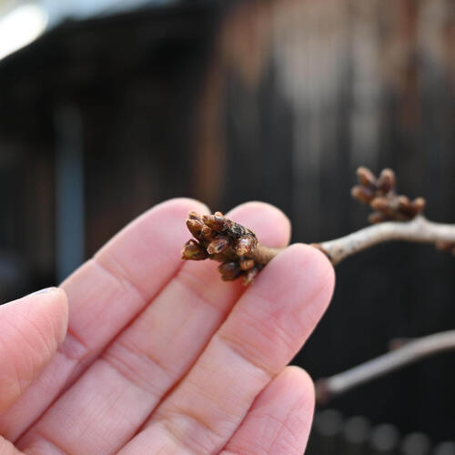 �� Ȭ�Ťε��� �ץ�ȭ����͵��餭 ���ߺ� �������ߺ�