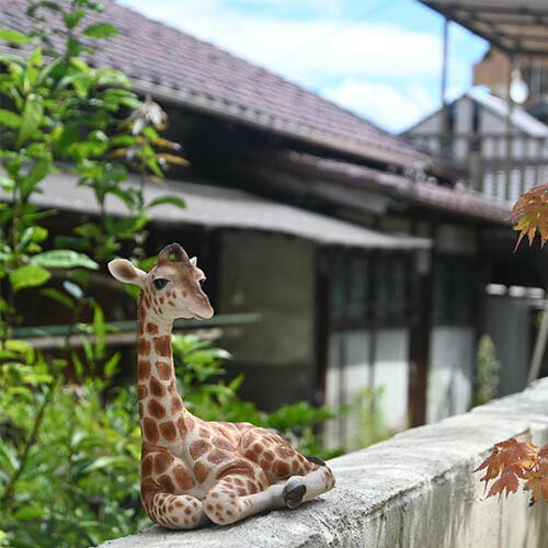 楽天園芸百貨店何でも揃うこぼんさい座っているキリンの置物　きりんリアルな置物　かわいい置物　置物アンニュイなキリン　ジラフィーさんお庭や玄関に飾るとgood！本物のような置物