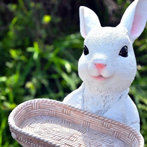 νλҡӥå򤤤򤤥Ȥʪʪʥ٥ʪ֤İʪˤäꡡ丼ؤϤ󡢤ˤ⡣...