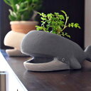 くじら ツートン 2つセット小さい置物 可愛いクジラ小さい植木鉢 お庭や玄関先に。可愛い鉢植え 植木鉢 多肉植物 サボテンプレゼントにもどうぞ。