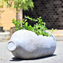 ボトルポット ボトルメールみたいなポット植木鉢 置物 プランター 鉢植え変わったプランター お庭や玄関に。新築祝いなど、プレゼントにもどうぞ。