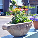 植木鉢 お皿のような オブジェバラ アンティーク 薔薇骨董品 陶器 テラコッタ玄関やお庭にどうぞ。贈り物やプレゼントにも。おしゃれ ガーデニング
