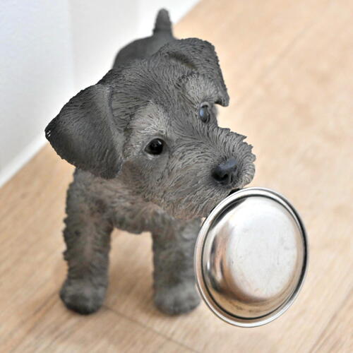 シュナウザー　わんちゃん　お皿可愛い置物　犬の置物　子犬お庭や玄関先、お部屋にもどうぞ。