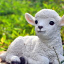 もふもふ子羊 ひつじ リアルな羊ひつじの置物 かわいい置物お庭や玄関に置くと目を惹きます。プレゼントにもどうぞ。 かわいいひつじ あめちゃん