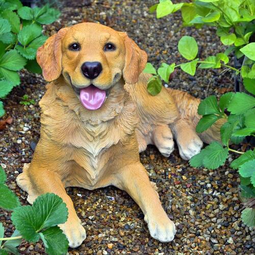 楽天市場】大型犬置物の通販 楽天市場】大型犬置物の通販