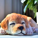 レトリバー お昼寝 いぬ きなこ置物 かわいい置物 犬の置物リアルな置物 犬 子犬お庭や玄関に飾るとgood!ゴールデンレトリバー