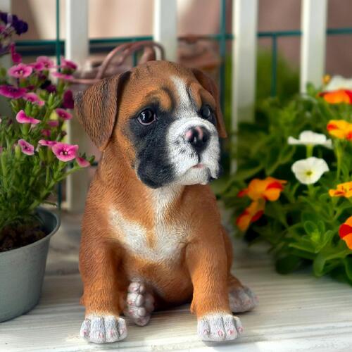 お座りボクサー犬　ロッキー子犬　わんちゃん犬の置物　置物　可愛い置物ちょこんとおすわりお庭や玄関に置くとgood。