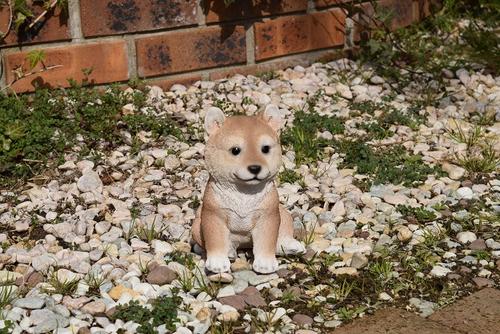 Seal限定商品 置物親子子犬犬置物親子 太郎と小太郎 柴犬子犬 園芸百貨店何でも揃うこぼんさい 園芸百貨店 何でも揃える こぼんさい Pa Rantau Go Id Seal限定商品 置物親子子犬犬置物親子 太郎と小太郎 柴犬子犬 園芸百貨店何でも揃うこぼんさい 園芸百貨店 何でも揃える こぼんさい Pa Rantau Go Id