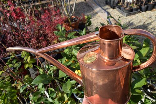 楽天市場】水差し 銅 じょうろの通販 楽天市場】水差し 銅 じょうろの通販