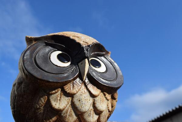 ふくろう 信楽焼 フクロウ置物 ガーデンオーナメントふくろうの置物 福山福次郎お庭や玄関はもちろん、お部屋にも飾れます。