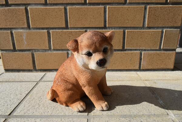 秋田犬置物　かわいい置物　犬の置物秋田犬　大福くんお庭や玄関に飾っても、お部屋のインテリアとしてもおすすめです。 2