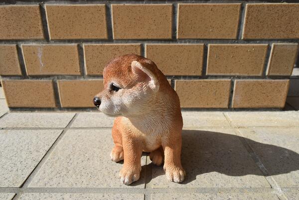 秋田犬置物　かわいい置物　犬の置物秋田犬　大福くんお庭や玄関に飾っても、お部屋のインテリアとしてもおすすめです。 3