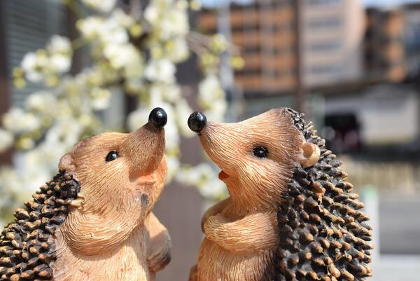 ɴŹǤ·ܤ󤵤㤨֥ϥͥߡߥˡɤåȥϥͥߤʪʪ襤ʪϤͤߡߥ˥ϥͥߤ丼ؤϤ󡢤ˤ⡣ץ쥼ȤˤɤפβǤʤ6,000ߤˤʤޤ