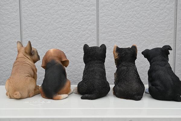 が大特価 集え わんぱくこいぬーず こいぬ大集合 パート２ 子犬 5個セット置物 かわいい置物 犬の置物柴犬 ヨークシャーテリアビーグル フレンチブルドッグお庭や玄関 お部屋にも合います プレゼントにもどうぞ Summitinternationalschool Com